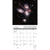 Astronomy 2025 Mini Wall Space Calendar