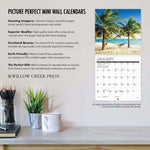 Astronomy 2025 Mini Wall Calendar