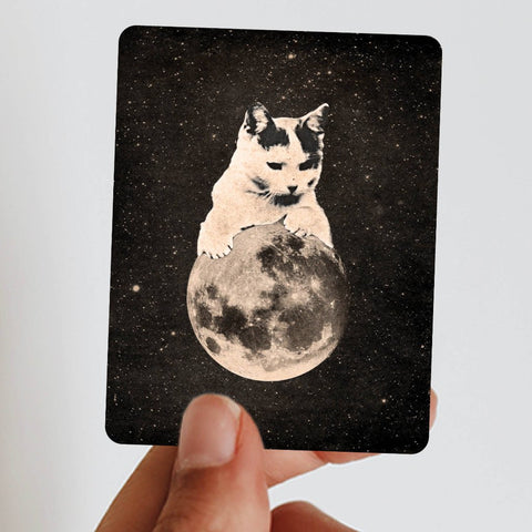 Cute cat and moon in space sticker!