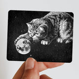 Cute cat playing with the moon in space sticker!