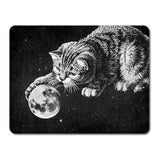 Cute cat playing with the moon in space sticker!