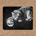 Cute cat playing with the moon in space sticker!